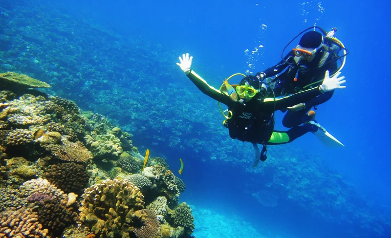 Onna Village Blue Cave Snorkel & Scuba Diving