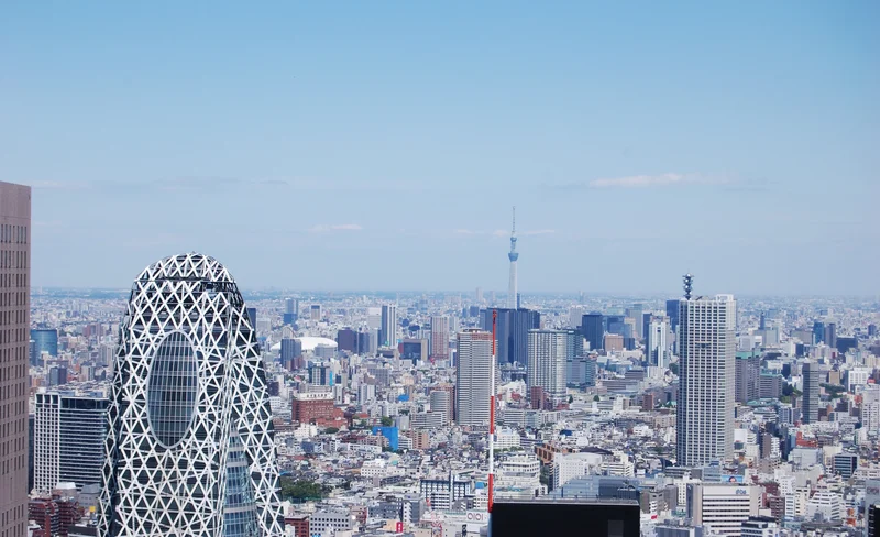 Tokyo City, Meiji Shrine & Skytree Bus Tour with Cruise