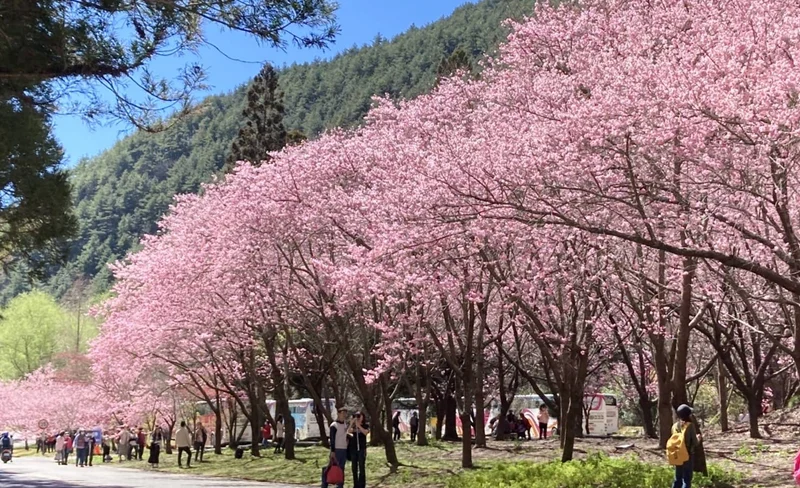 Wuling Farm One-Day Tour (Taichung City Hotel Pickup)