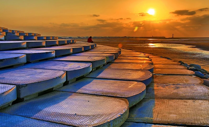 Hsinchu Day Tour from Taipei (Hsinchu City God Temple, Hsinchu Fish Harbor, and Hsinchu Zoo)