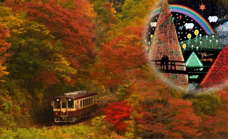 Autumn Maple Leaves Sightseeing Day Tour from Tokyo