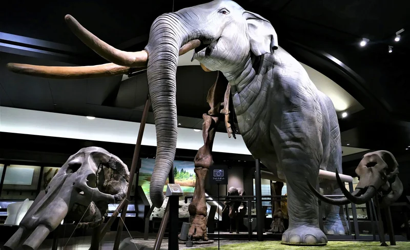 Lake Biwa Museum Adimission in Shiga