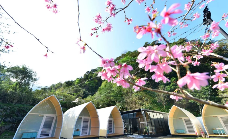 Miaoli Camping: Camping Experience at Mountain and Secret Camping