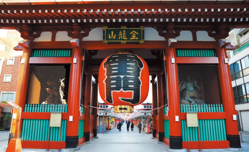 Dynamic Tokyo: Tokyo Tower & Tea Experience & Bay Cruise Day Tour