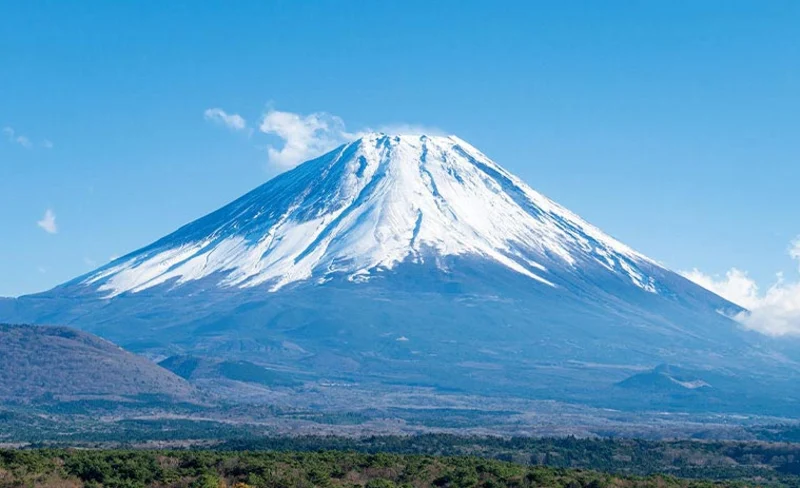Mt. Fuji, Oishi Park, & Arakurayama Park Day Tour with Lunch