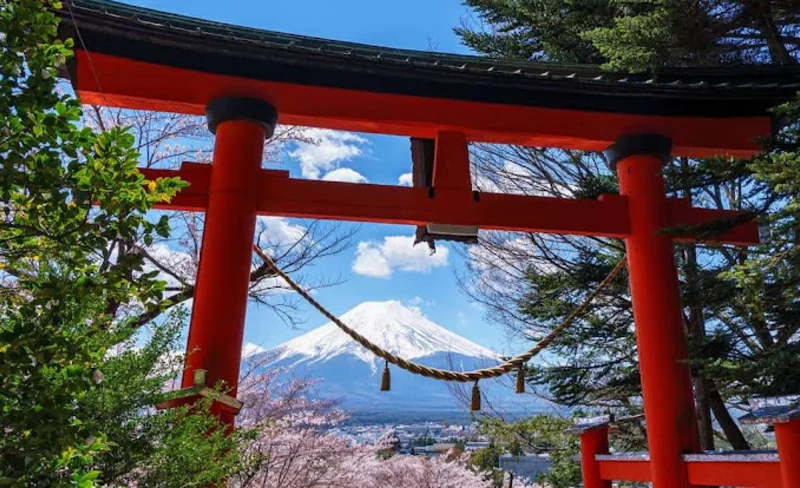 Mount Fuji & Hakone One Day Tour Customized Chartered Car