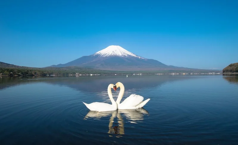 Mount Fuji Twin lakes Fujiyoshida tour (from Tokyo or Kawaguchiko)