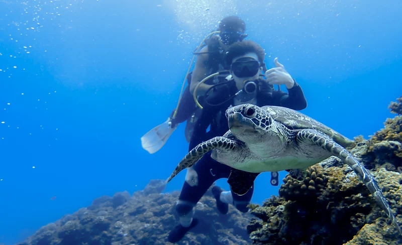 Discover Scuba Diving / PADI / SSI Course in Lanyu Taitung
