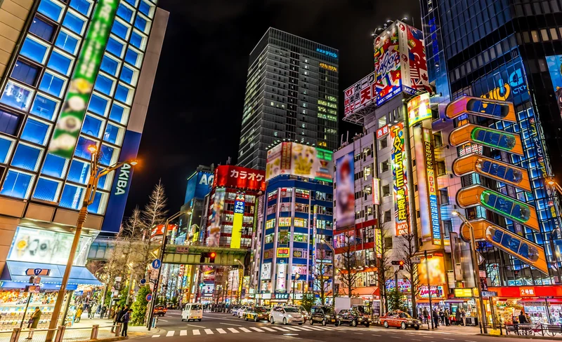 PRIVATE 3Hour Best of AKIHABARA Walk with a Local Otaku Guide