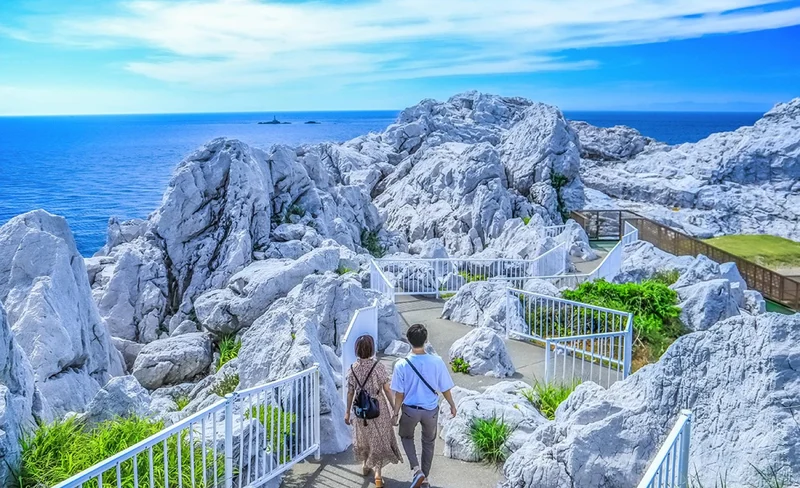 Wakayama Toretore Market+Shirarahama beach Day Tour (From Osaka)