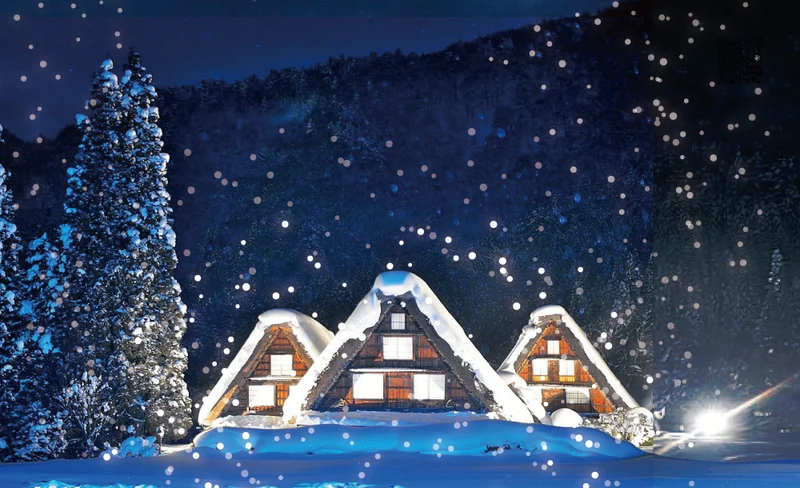 2025 Shirakawago Lights up & Hida Takayama day tour (from Nagoya)