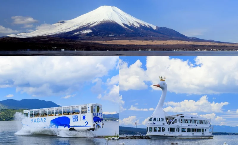 Mount Fuji Popular Amphibious Boat Day Tour｜Kawaguchiko Oishi Park & Oshino Hakkai & Yamanakako KABA BUS Hippo Amphibious Boat Tour (Optional) & Hiranohama (Depart from Tokyo)