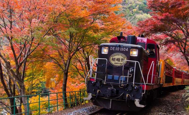 Kyoto Sagano Romantic Train with Autumn Leaves Bus Tour