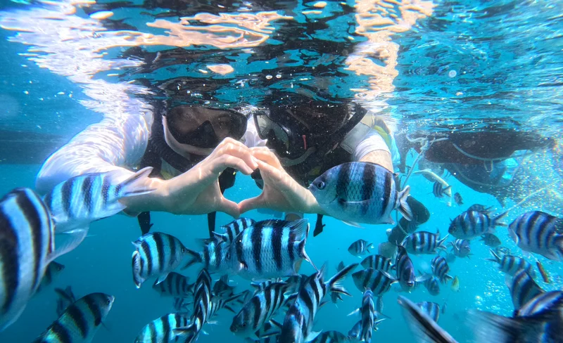 Okinawa Blue Cave boat snorkeling (Free photo and fish feeding)