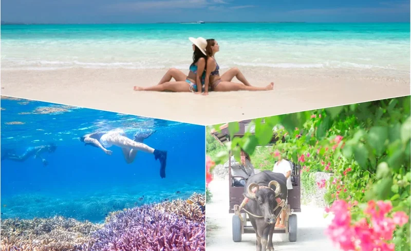 Ishigaki Island & Taketomi Island: Landing on the Phantom Islands & Snorkeling (Okinawa)