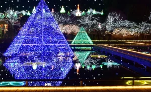 Strawberry Picking, All-You-Can-Eat-Crab and Ashikaga Flower Park/Lake Sagami Light Show from Tokyo
