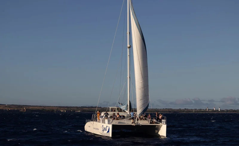 Exclusive Whale Watching with Experts Tour in Maui