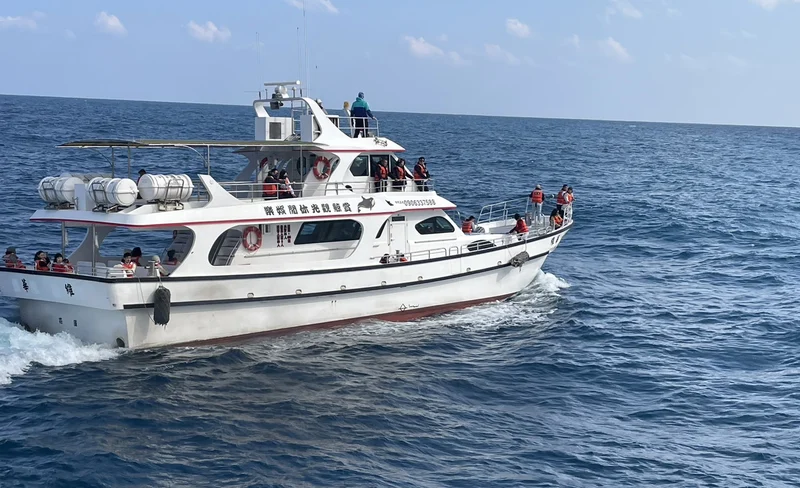 Hualien Whale Watching | Huawei Whale Watching | Whale Watching Guided Experience