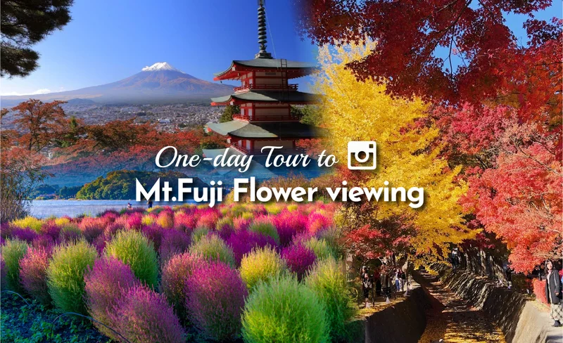 Mt Fuji tour with lunch (Vegetarian/ Muslim-friendly meal available)