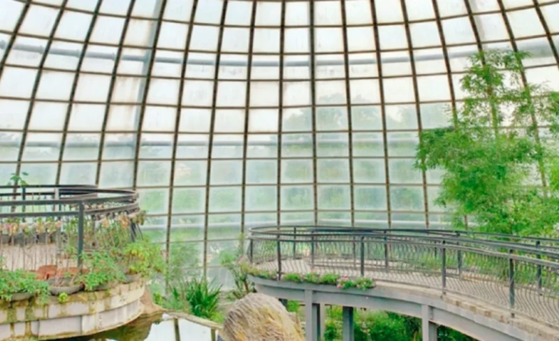 Chiayi University Insect Hall Tickets