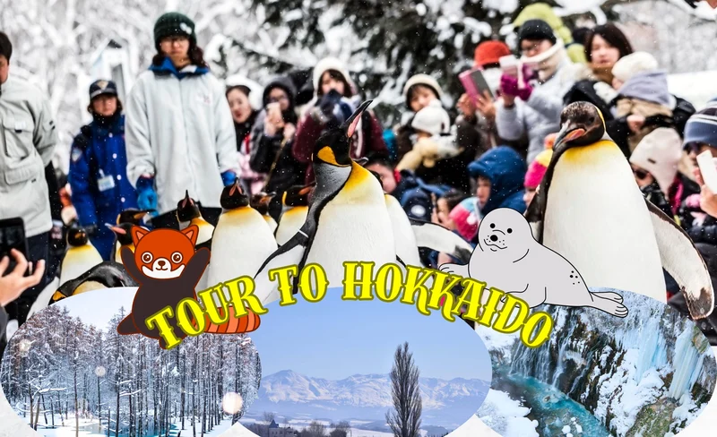 One-day trip to Hokkaido's popular attractions (Asahikawa Zoo & Internet celebrity Ken & Marry tree & Shirasu Falls & Biei Blue Pond) / Exquisite group tour with hotel pick-up and drop-off