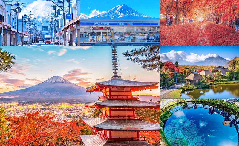 Arakurayama Sengen Park, Oishi Park, & Hikawa Clock Shop Day Tour
