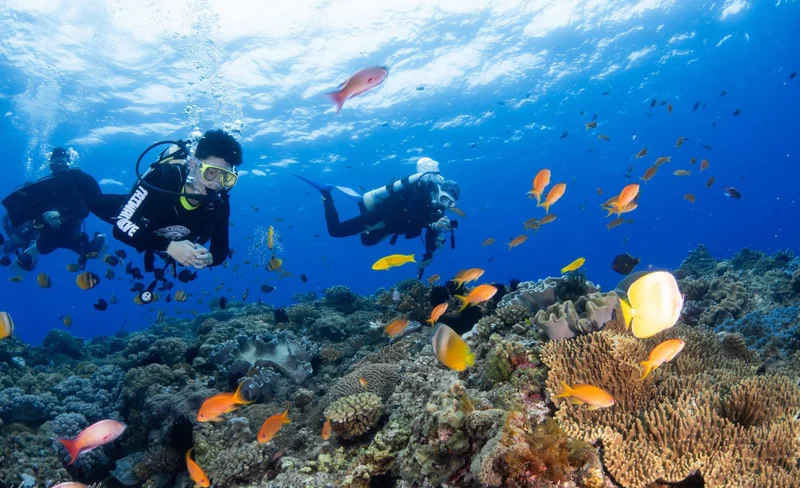 Discover scuba diving, Fun diving and Diving courses in Kenting
