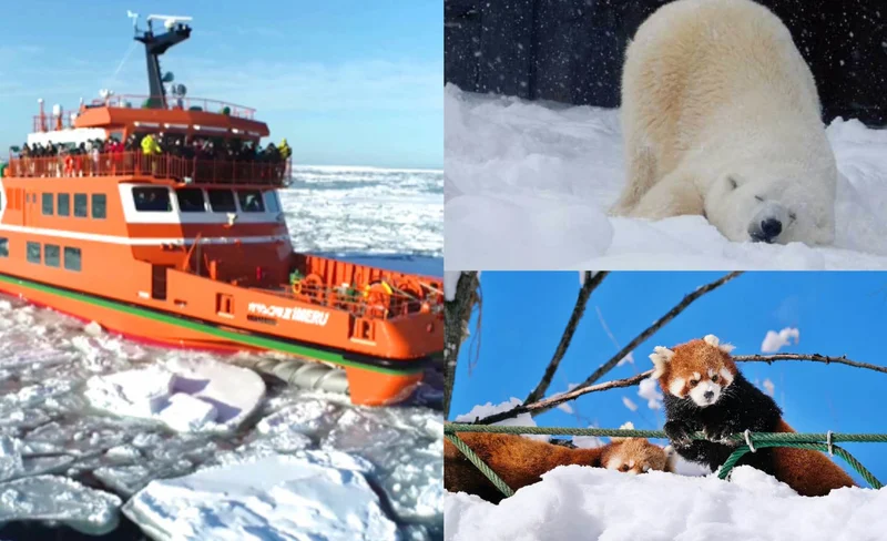Hokkaido's popular Asahiyama Zoo & board the new icebreaker GARINKO GO Ⅲ, enjoy the magnificent scenery of the ice and snow world, and experience a leisurely sunset day trip | Departing from Sapporo