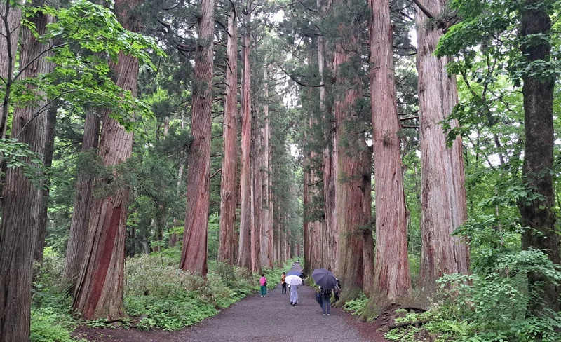 Togakushi Day Tour:Hands-on Soba Noodles,Ninja Village,Hidden Shrine