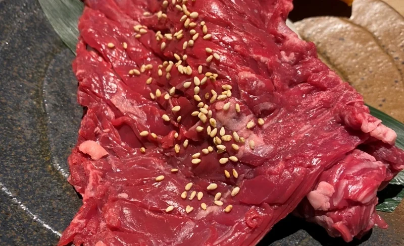 NanKouEn Okura in Sapporo Susukino - Wagyu Beef BBQ Buffet