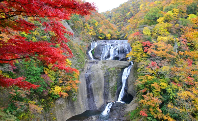 Hananuki Gorge, Ryujin Suspension Bridge, and Fukuroda Falls Falls Day Tour (Depart from Tokyo)