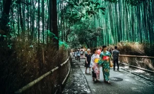 Arashiyama Bamboo Forest Half Day Tour