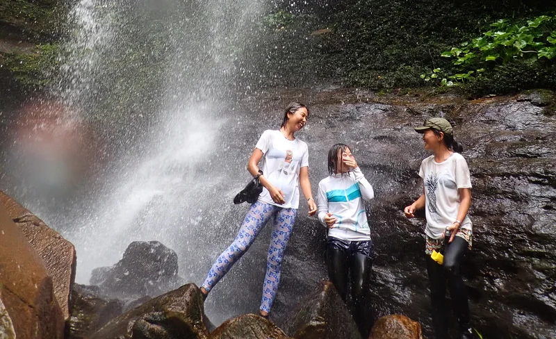 Mangrove Kayaking and Trekking with Outdoor Cooking in Iriomote Island