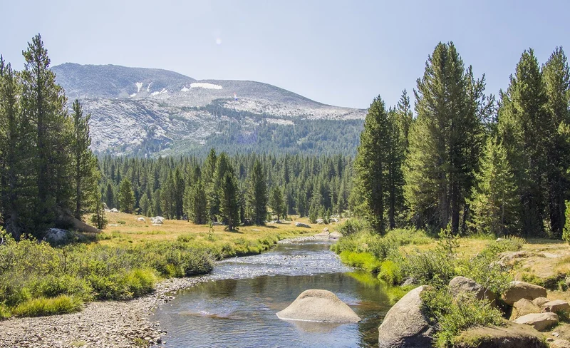 Yosemite National Park Whole Day Small Group Tour from San Francisco
