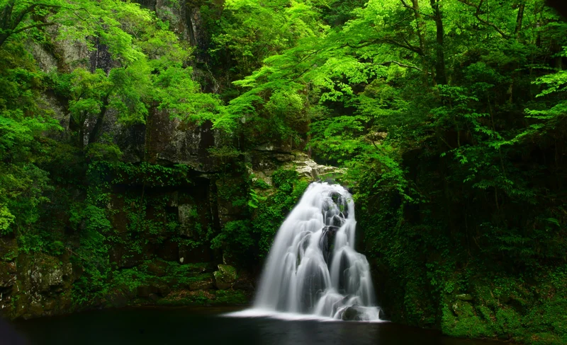 Akame 48 Watefalls / Ninja Training Experience in Mie