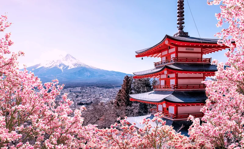 Tokyo City Car Rental with Driver to Fuji Area/ Hakone