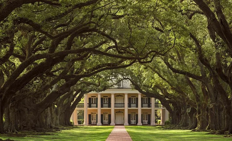 Swamp Boat Ride and Oak Alley Plantation Tour from New Orleans