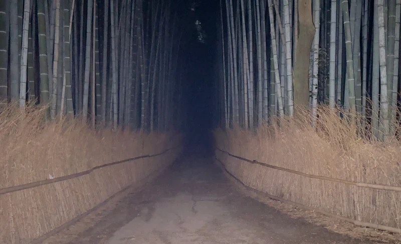 Kyoto Ghost Tour: Bamboo, Unsolved Mysteries & Dark Tales