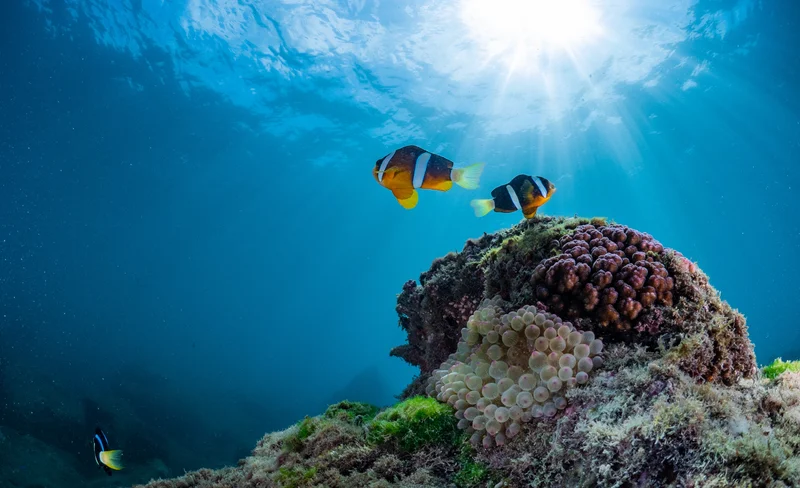 Diving Experience in Penghu by Love Ocean