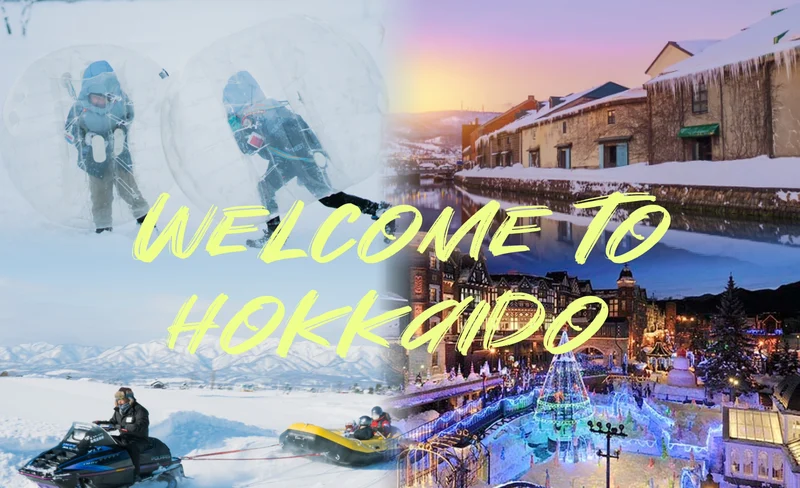 Otaru, Shiroi Koibito Park, & Snow Park Day Tour from Sapporo