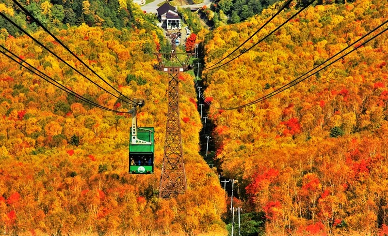 Hokkaido Kurodake Ropeway, Asahiyama Zoo Autumn Bus Tour