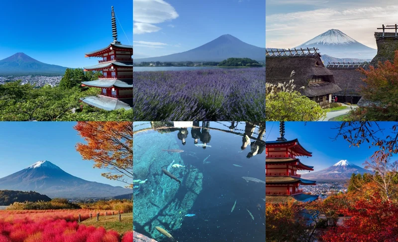 Mount Fuji Arakurayama Park Saiko Iyashi-no-Sato Oishi Park day tour