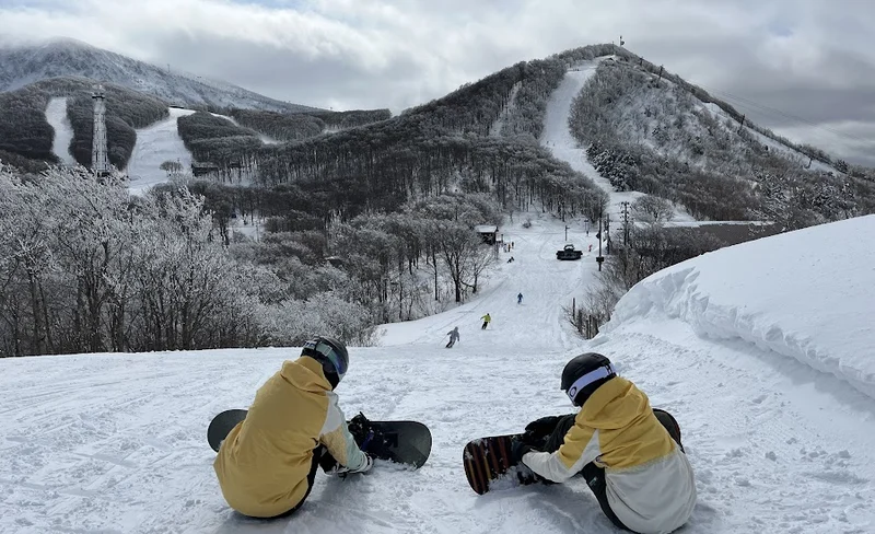 Zao Hot Spring in Yamagata, Tohoku, Japan｜Private skiing lesson 3/6 hours