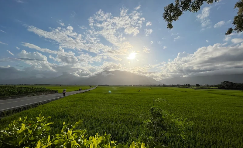 Chishang Brown Boulevard Biking Experience in Taitung