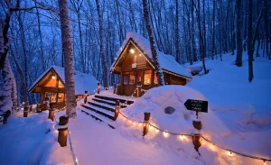 Ningle Terrace & Biei Blue Pond & Shirahige Falls Illumination Tour