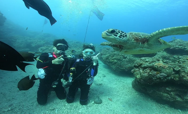 Bear Diving - Xiaoliuqiu PADI Open Water Diver Course