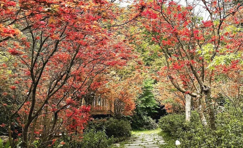 Tickets for Futianyuan Leisure Farm in Yangmingshan, Taipei
