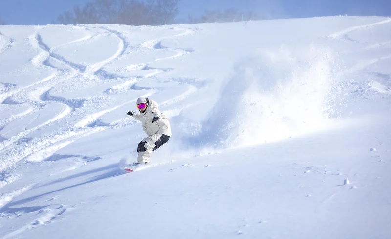Tambara Ski Park Route Day Tour from Tokyo