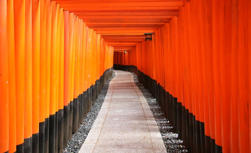 Kyoto Afternoon Tour (Round Trip from Kyoto)