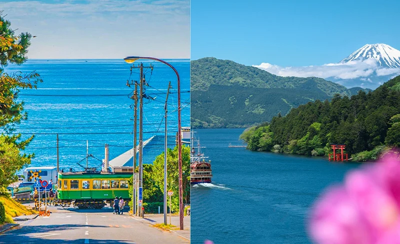 [Hakone + Kamakura] Mt. Fuji Lake Ashi Cruise + Owakudani + Kamakura High School + Enoshima | Depart from Tokyo
